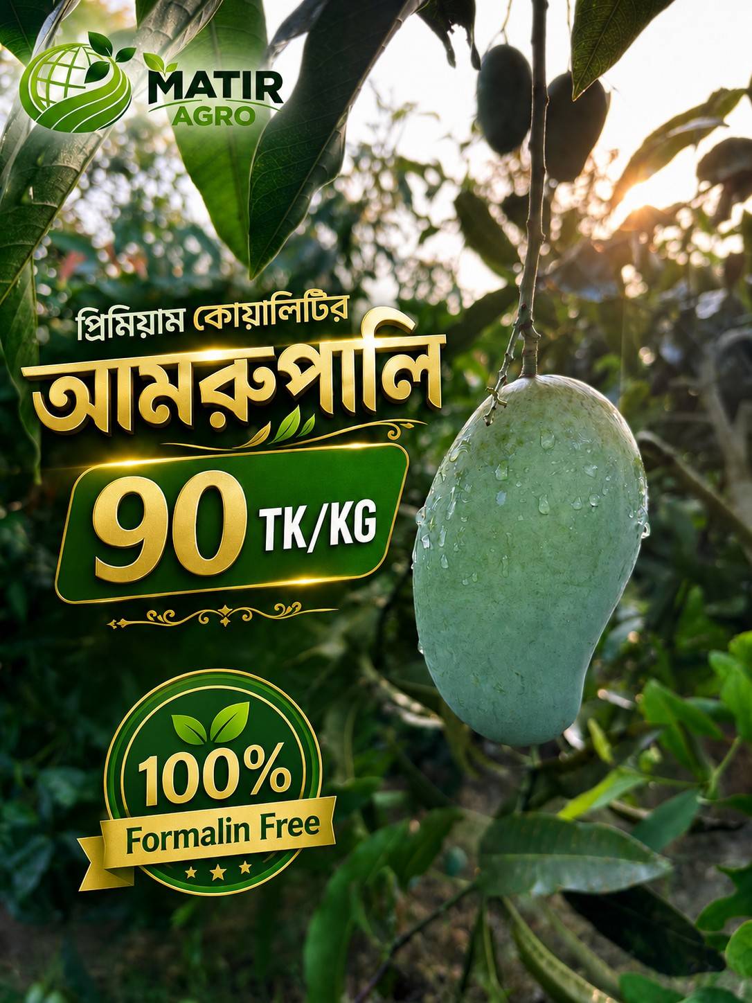 Amrupali - 12 KG