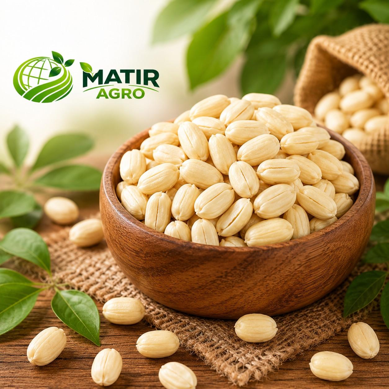 Thai Nuts 500 gm